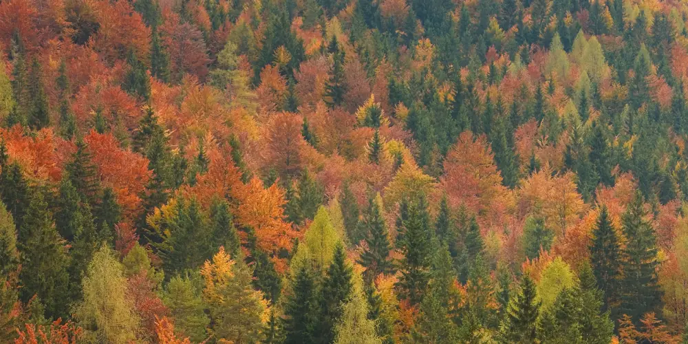 Podpořme rozmanitost přírody